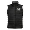 SOL'S Wave Bodywarmer Thumbnail